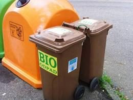 Hnědých popelnic přibývá, Žďárští se učí třídit bioodpad